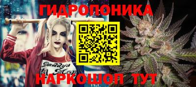 СК Комсомольск-на-Амуре
