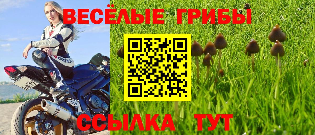 Галлюциногенные грибы Magic Shrooms Касимов
